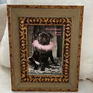 Ornamental wood frame, black velvet back; photo of Frenchie bulldog w/pink colar